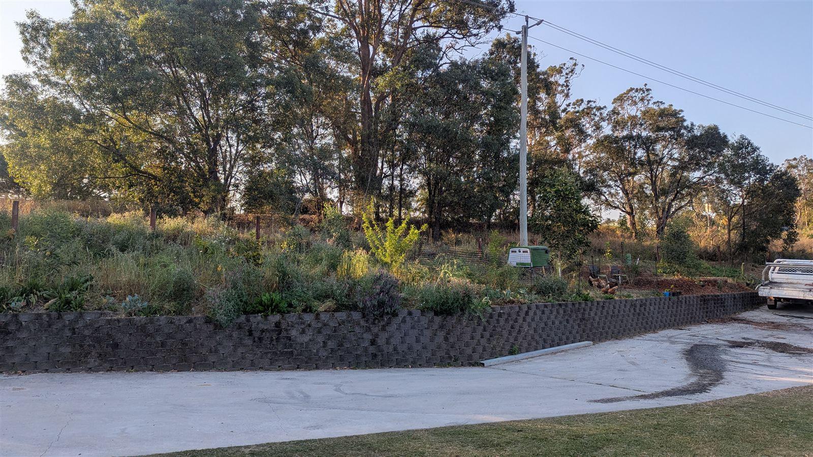 The retaining wall bed before work, overgrown with grass and weeds