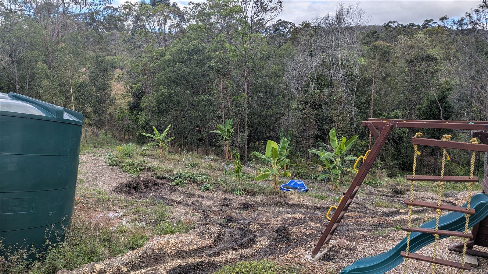 A rainwater tank with young banana plants and a play area worked in around it