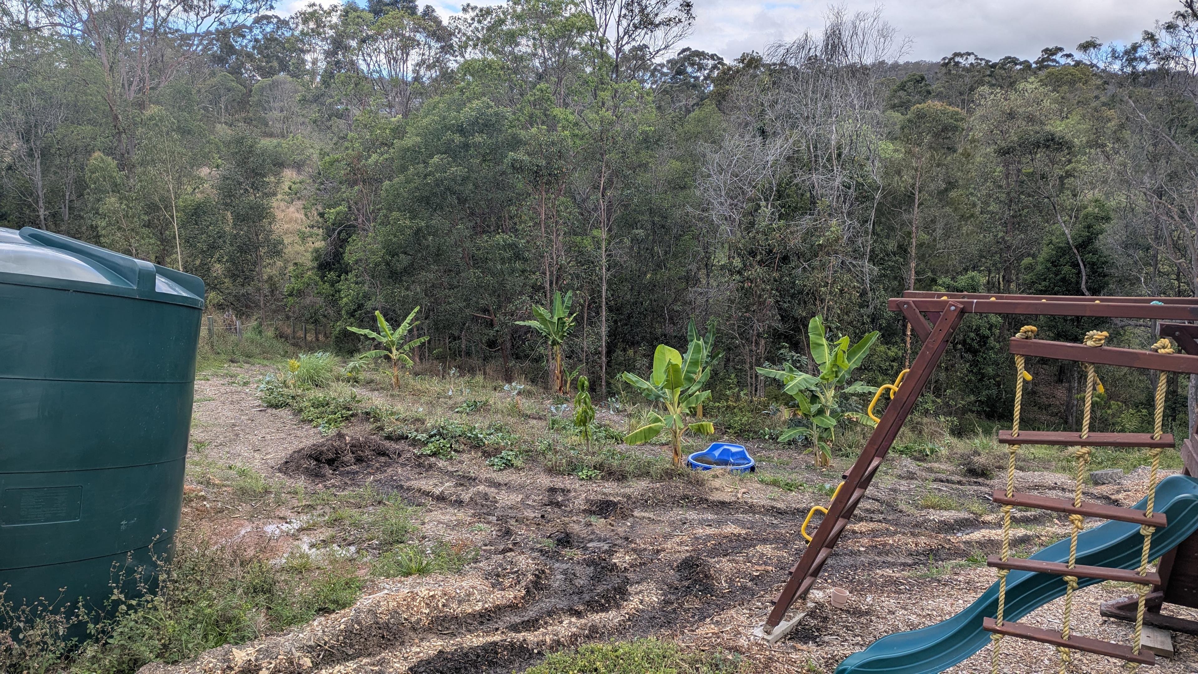 A rainwater tank and young banana planting with a kids' play area worked in around it