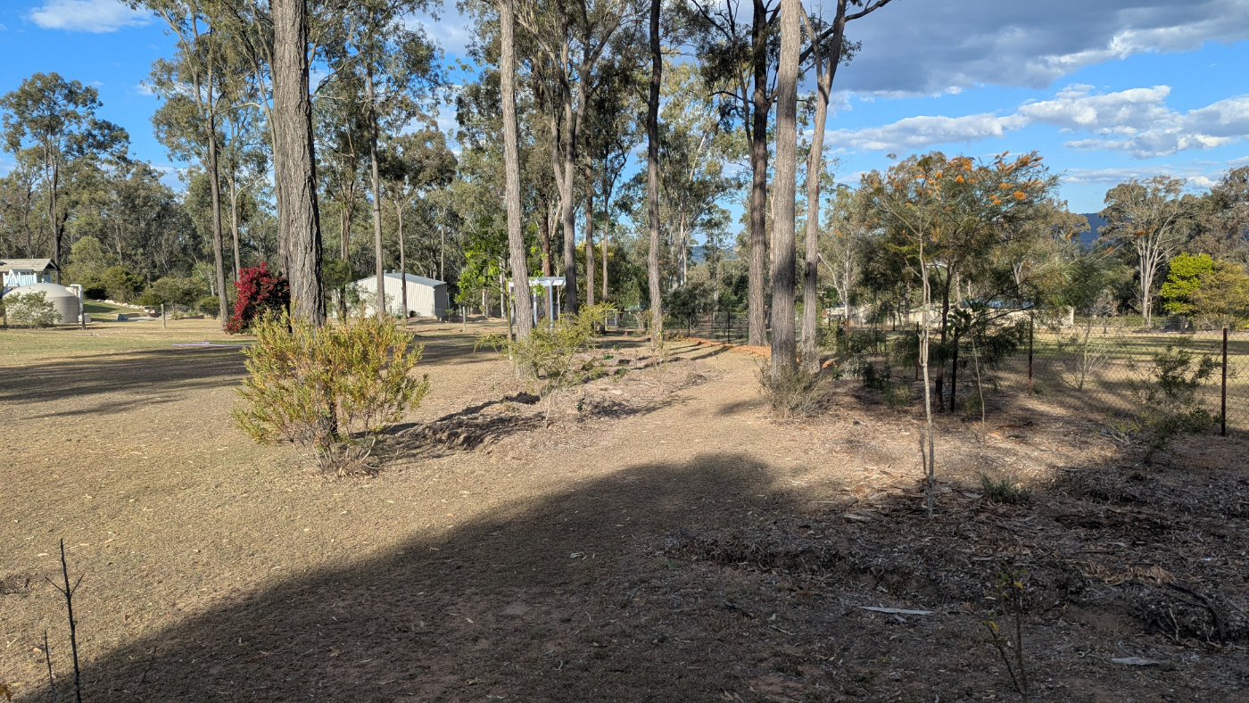 The boundary planting doing wind, fire, and wildlife duty at the forest edge