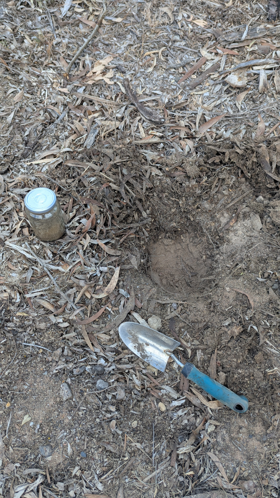 Soil test results showing near-pure sand across the property