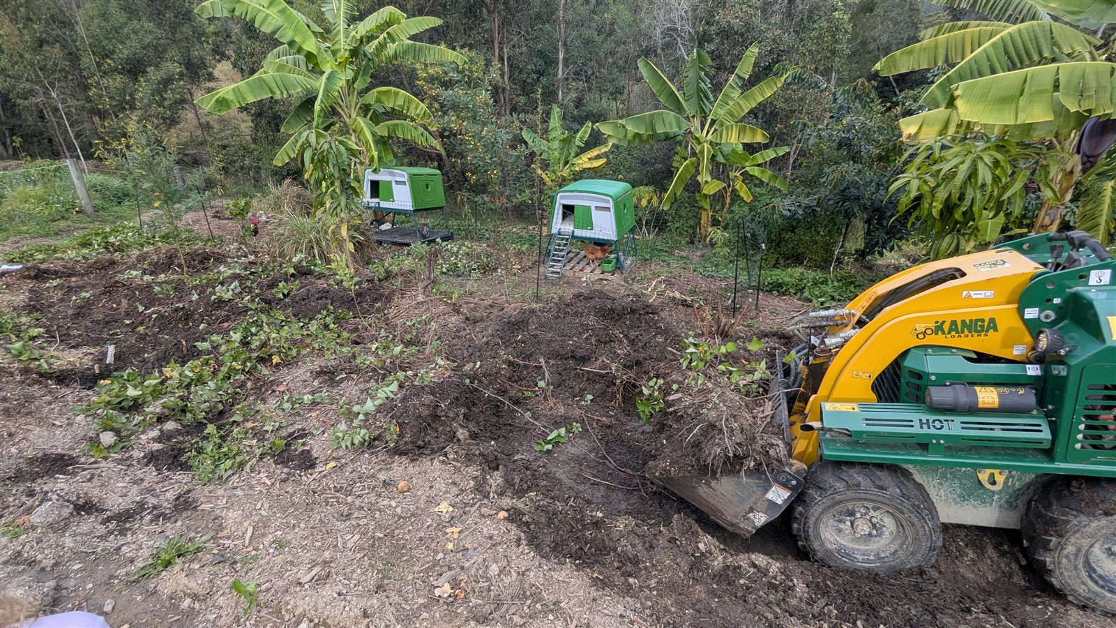 A mini loader with a full bucket of compost working along the flat top of the swale, sized wide enough for exactly this machine