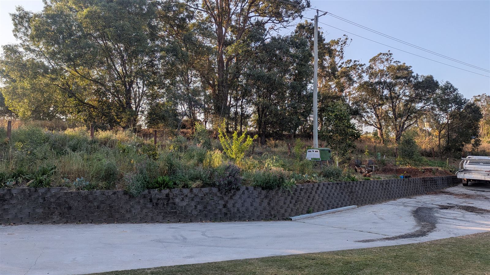 A long garden bed above a block retaining wall, rough and weedy, before any soil work
