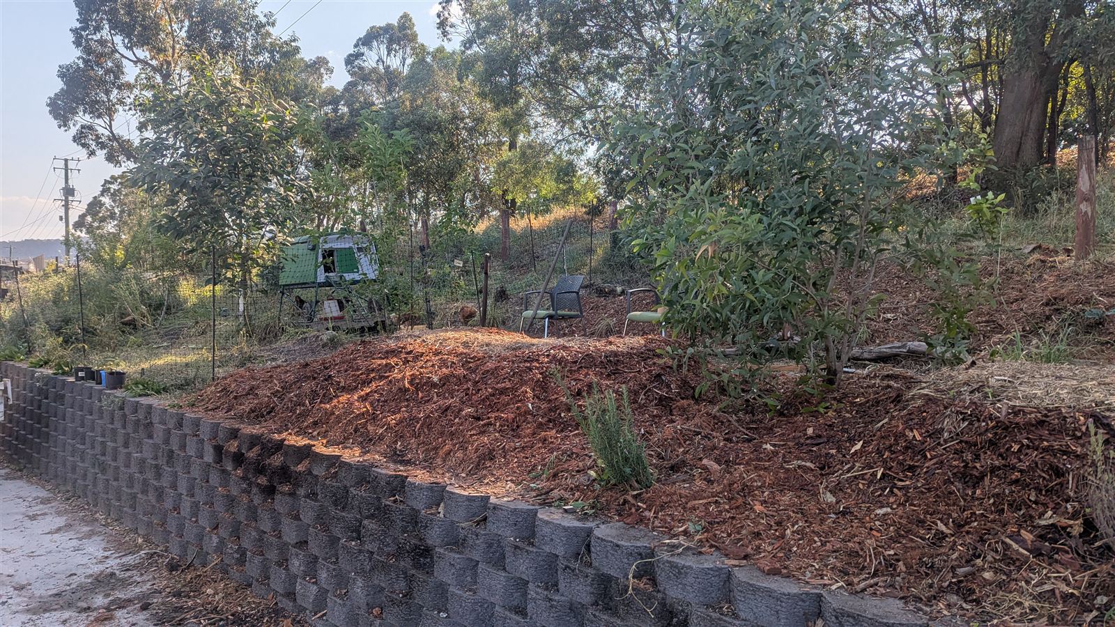 The same bed heavily covered in a thick layer of wood chip mulch